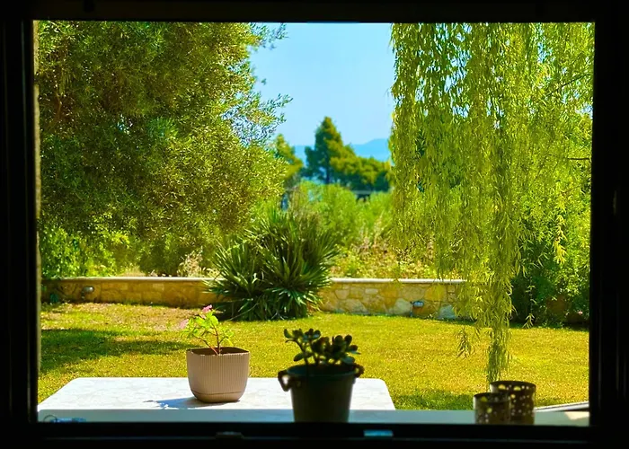Vila Comfort With Garden And View *
