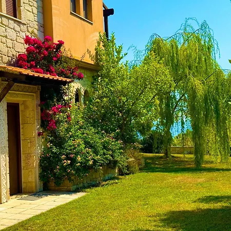 Comfort With Garden And View